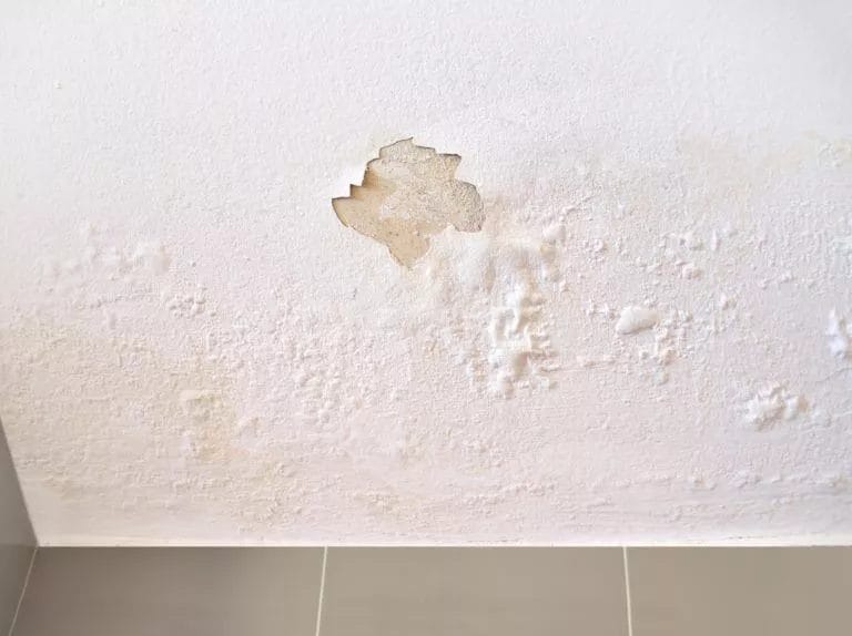 Bublles in paint on a ceiling of a home from water damage.