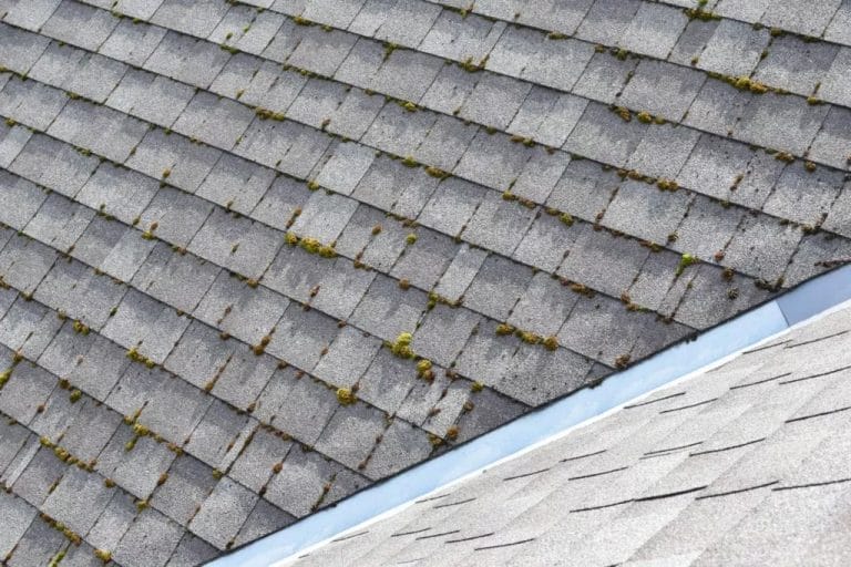 An asphalt shingle roof with lots of moss. A lot of moss on your roof is a sign you need to replace it.