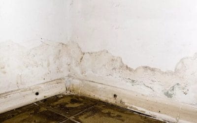 8 Most Common Ways for Water Damage to Creep into Your Minnesota Home