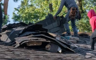 What to Do if a Storm Damages Your Roof in Minneapolis