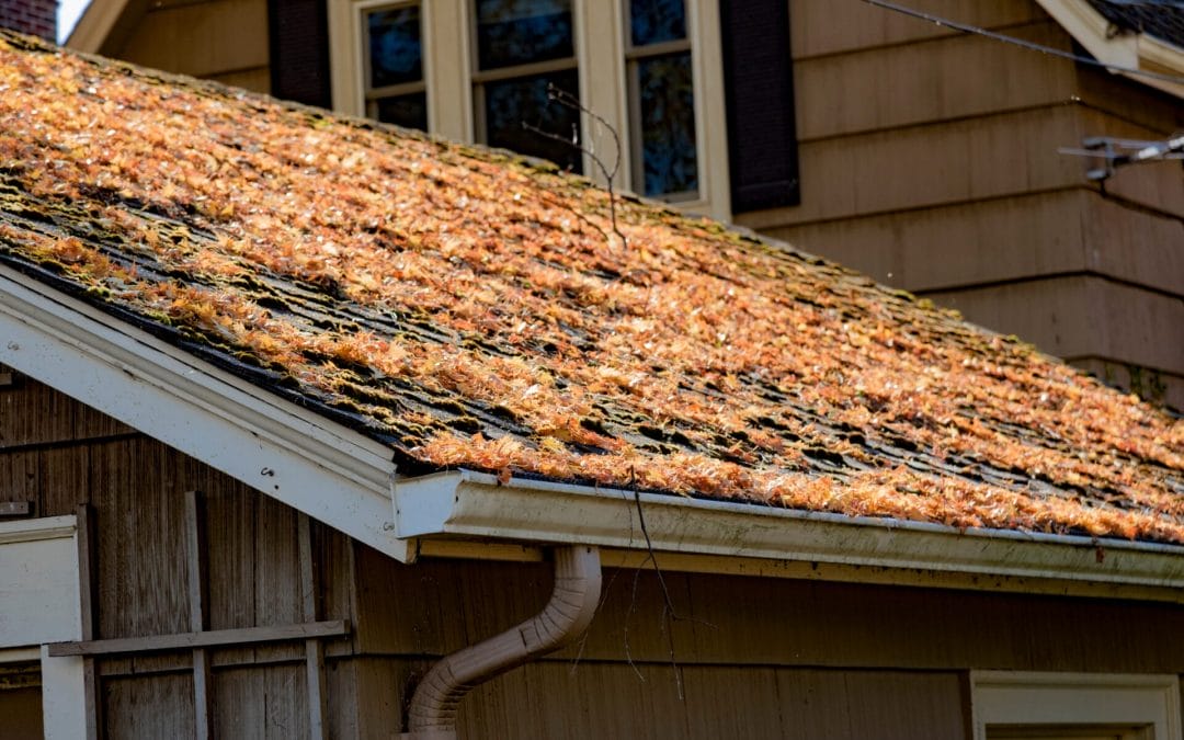 3 Common Roof Problems Facing Hudson Homeowners in Springtime