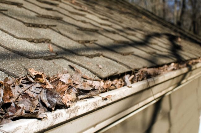 spring roof problems, spring roof damage